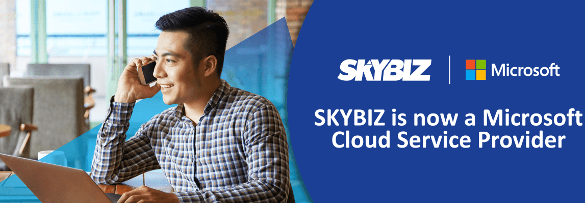 SKYBIZ Microsoft