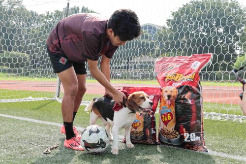 UP Men’s Football Team TopBreed Dog Food